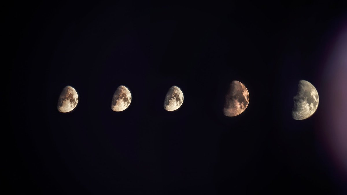 MCUverse_'s tweet image. Many faces, one moon 🌙✨
Captured the lunar glow through every phase with some photography, astrophotography, and editing magic. 

Captured with precision using the Adcom 8x Pro telephoto lens. 
#MoonFaces #CelestialVibes #ChasingPhases