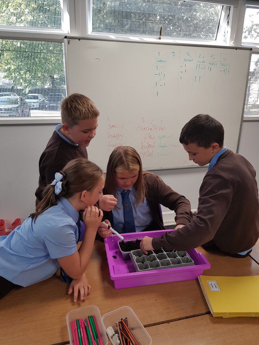 lfbriody's tweet photo. @PaulineMcpetrie @StBlanesGCC P7s planting peas.  One group will be watered with fertiliser and one not.  Investigating through the scientific method. https://t.co/Z9HCAraCof