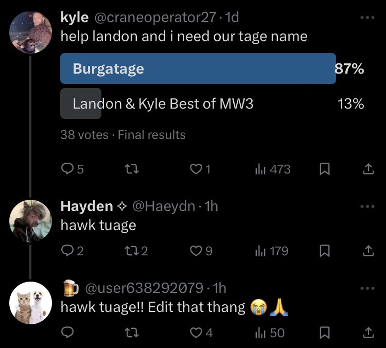 GUTS tweet media