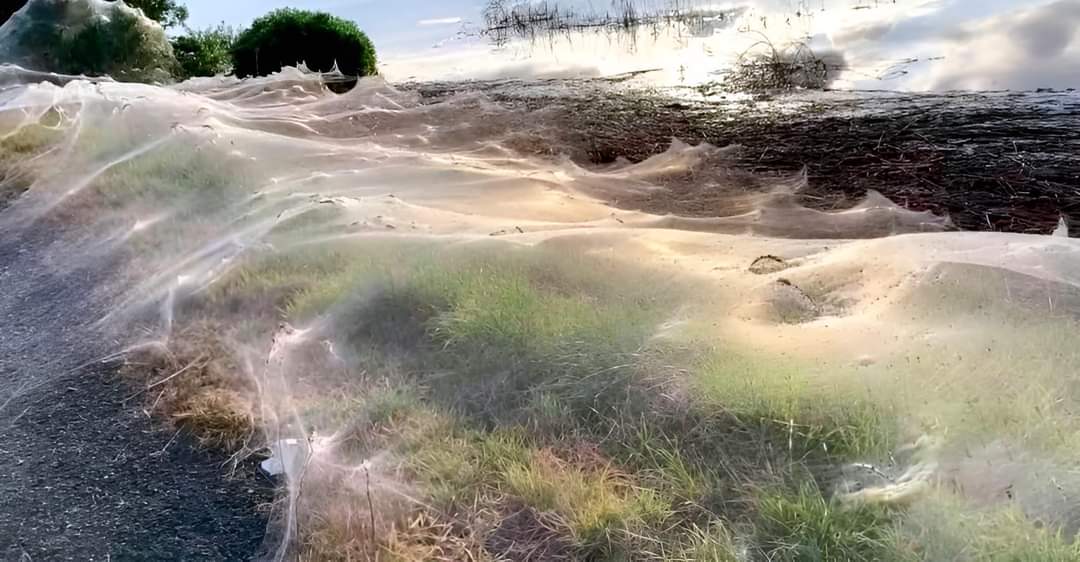 Bloody Good June🔪🔪🔪 tweet media