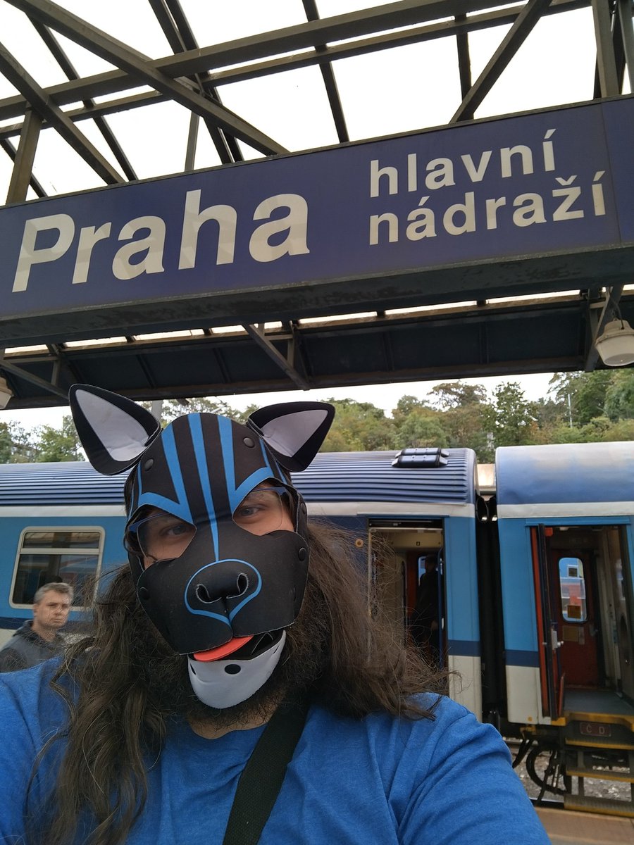 Pup Lutra (Otter Bops) tweet media