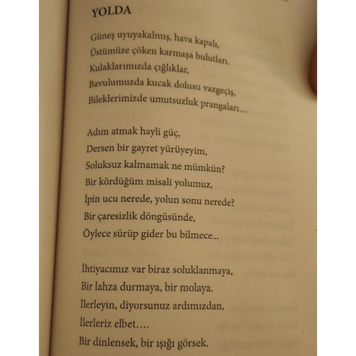 pınar t.ugurlu tweet media