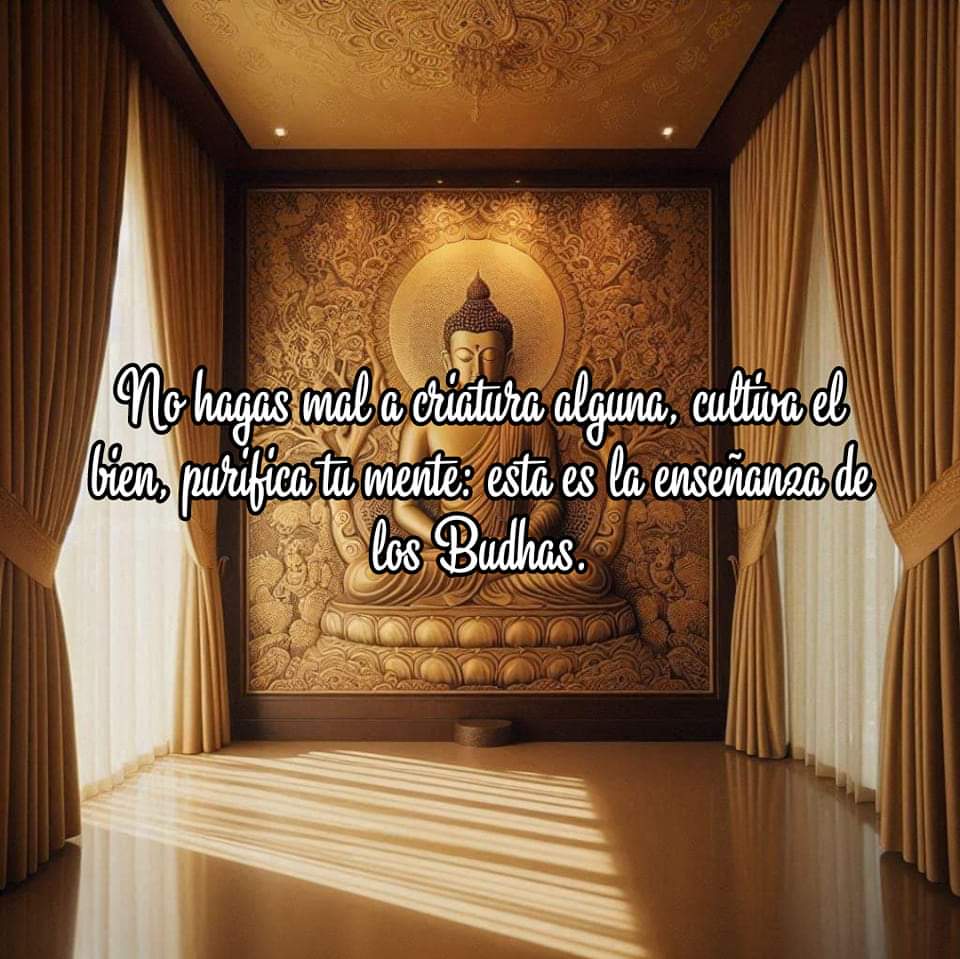 Namaste_Mandala's tweet image. 