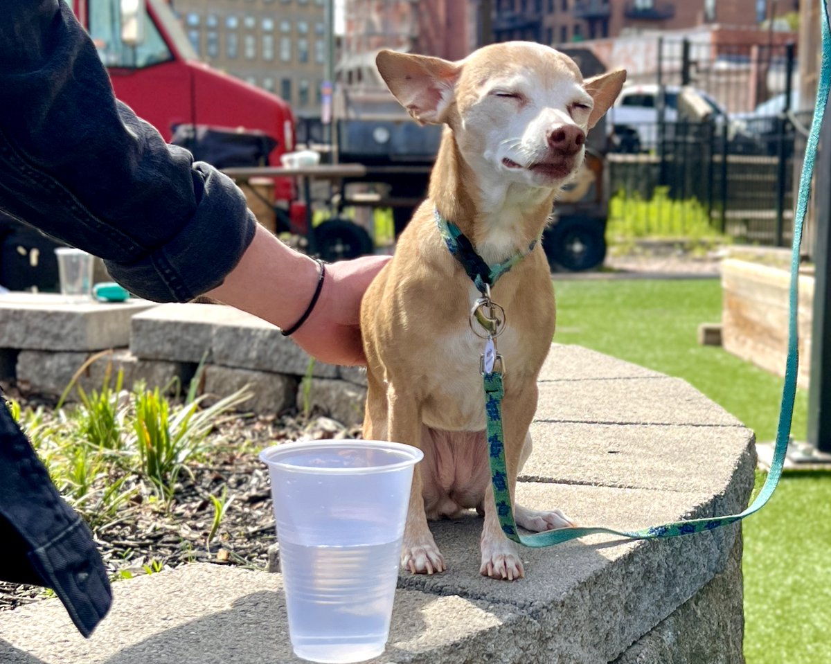 Happy Friday, #Knoxville!! No better way to spend a weekend, then hanging with your friends --and us!! Come on down to the gateway of #OldCityKnox and have a drink with us!

#MoBKnox #MoBDog #KnoxRocks #DogFriendlyKnox #LoveDowntownKnox #KnoxDogs