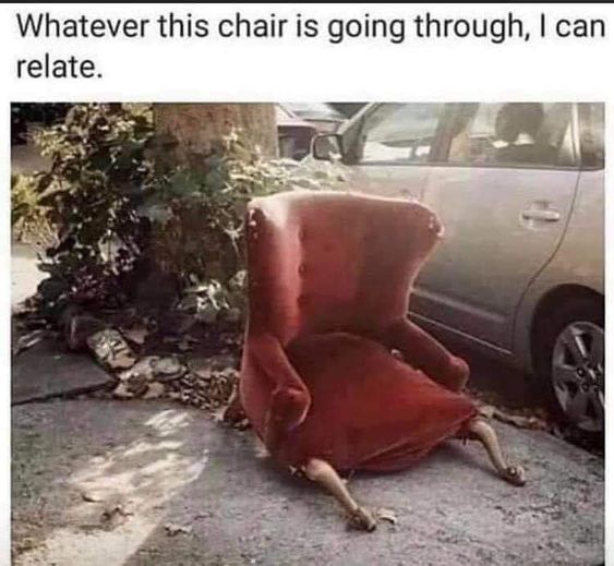 Annette 🟧🇺🇸 🏳️‍🌈 tweet media