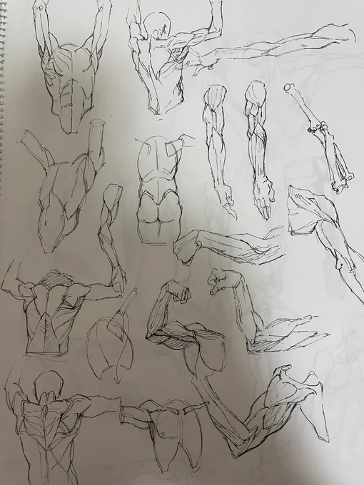 眠い眠い眠い眠い
全部模写 