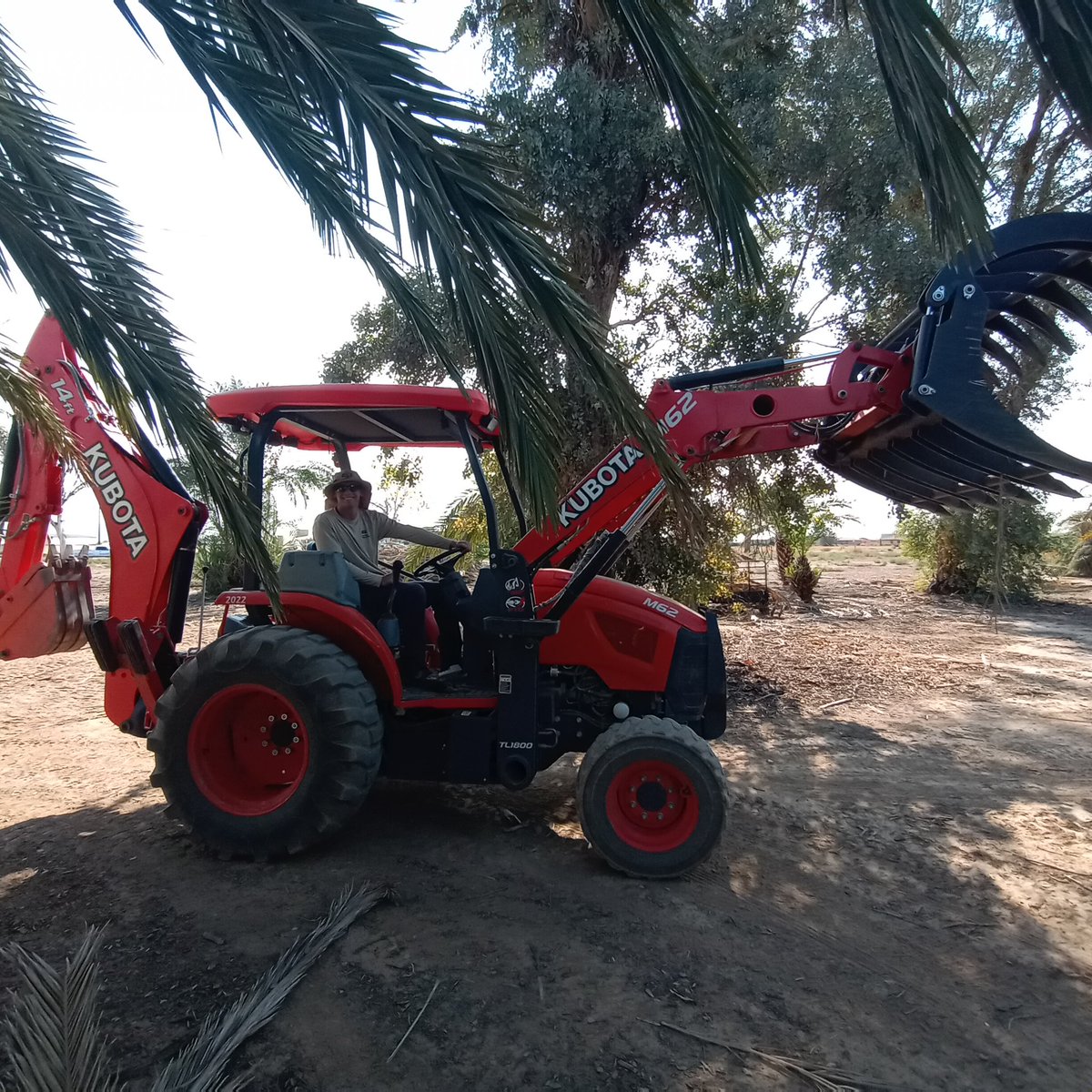 We are brushing up the ASU Polytechnic Date Grove to get ready for harvest volunteers tomorrow!
