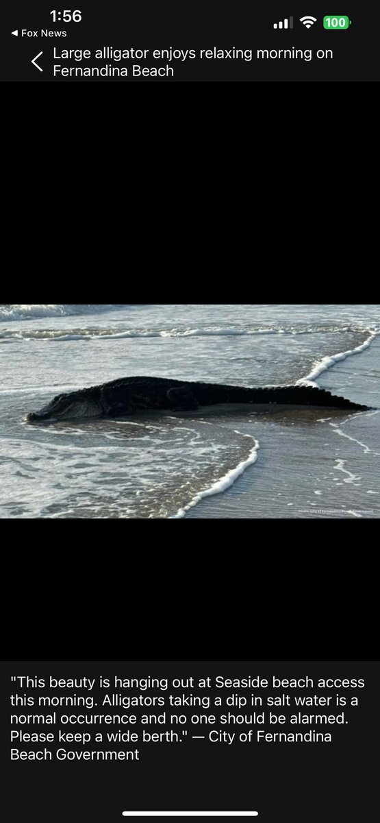 Michele (@troublemlr) on Twitter photo 