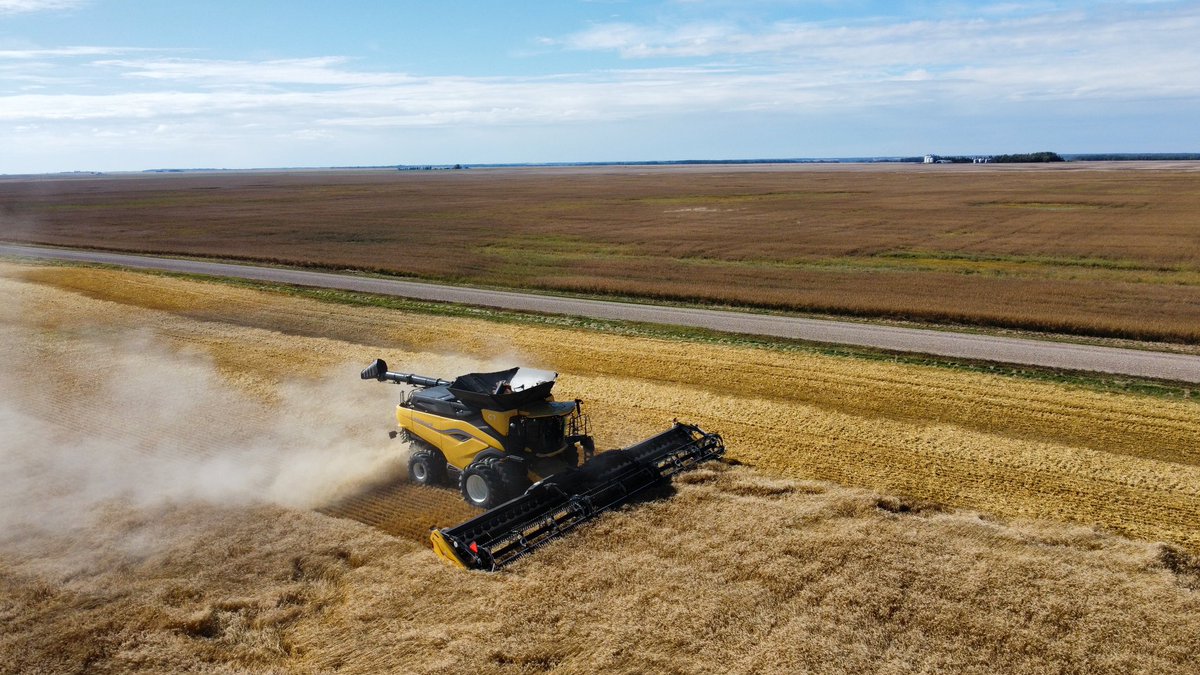 Alex Maude tweet media