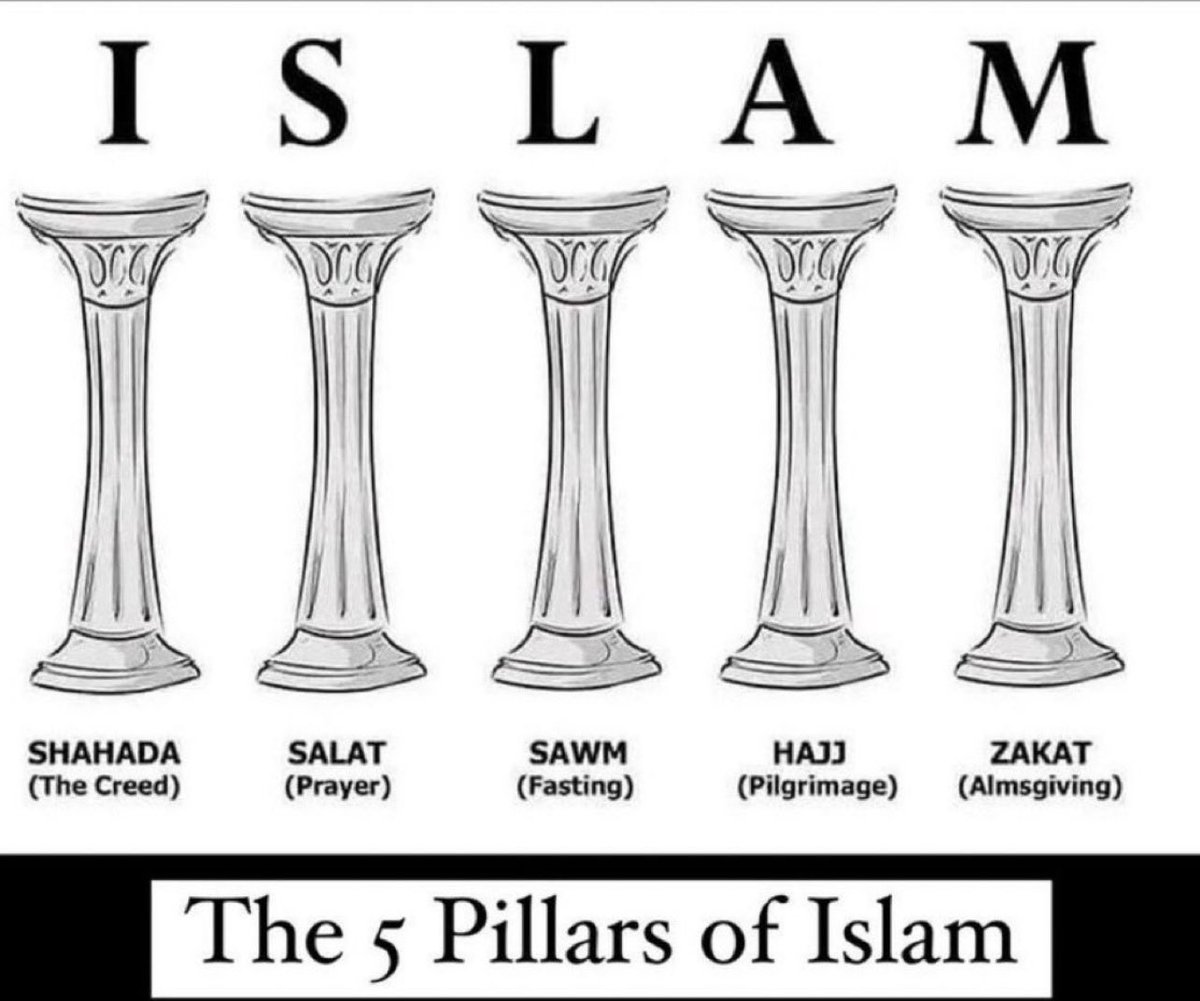 Halal_Match's tweet photo. 5 pillars of Islam ✅ https://t.co/qat436s077