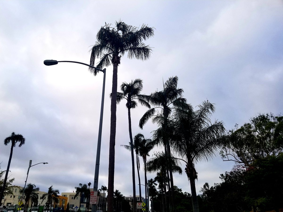 seedparty's tweet photo. California getaway. #stillanewyorker https://t.co/DQBhMhPSj2