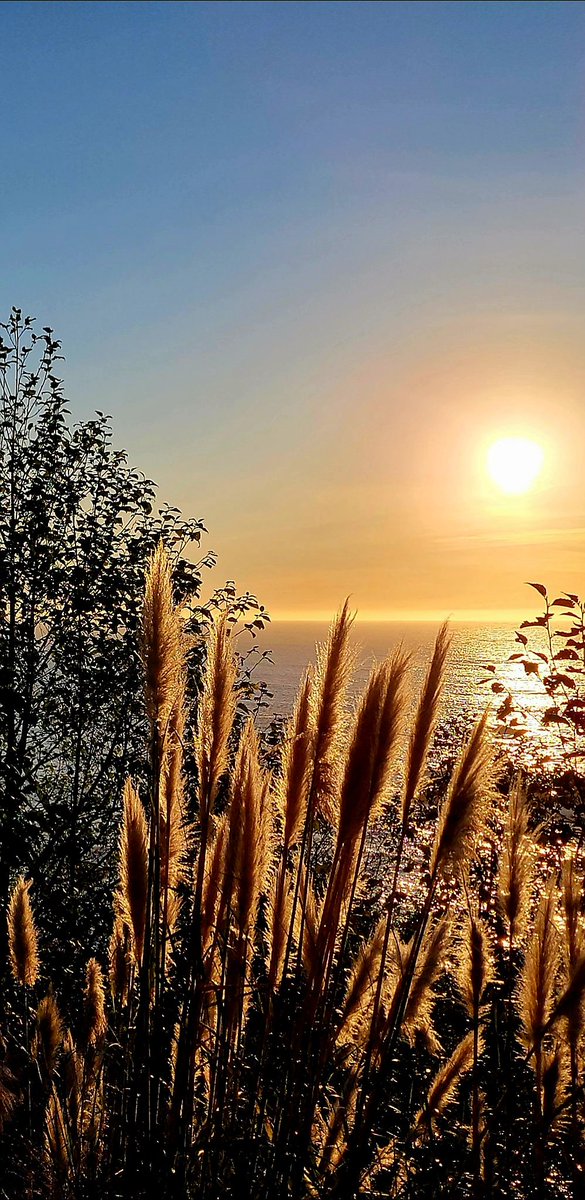 lone_wolf__1's tweet image. to have that new day dawn
a day of respect for all
a day of compassion
a day without arrogance
a day with no more greed
a day of truth
a day without racism
a day to shine upon us all
a special new day indeed
a day for all humanity
n e v e r say n e v e r
🕊️
bb
