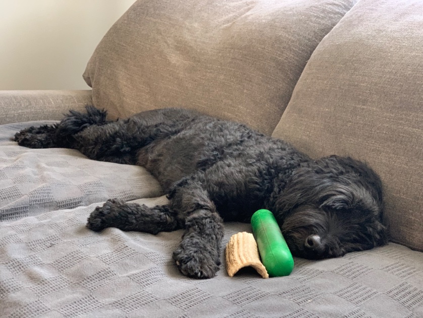 Tim Monks (@itsmonktastic) on Twitter photo 