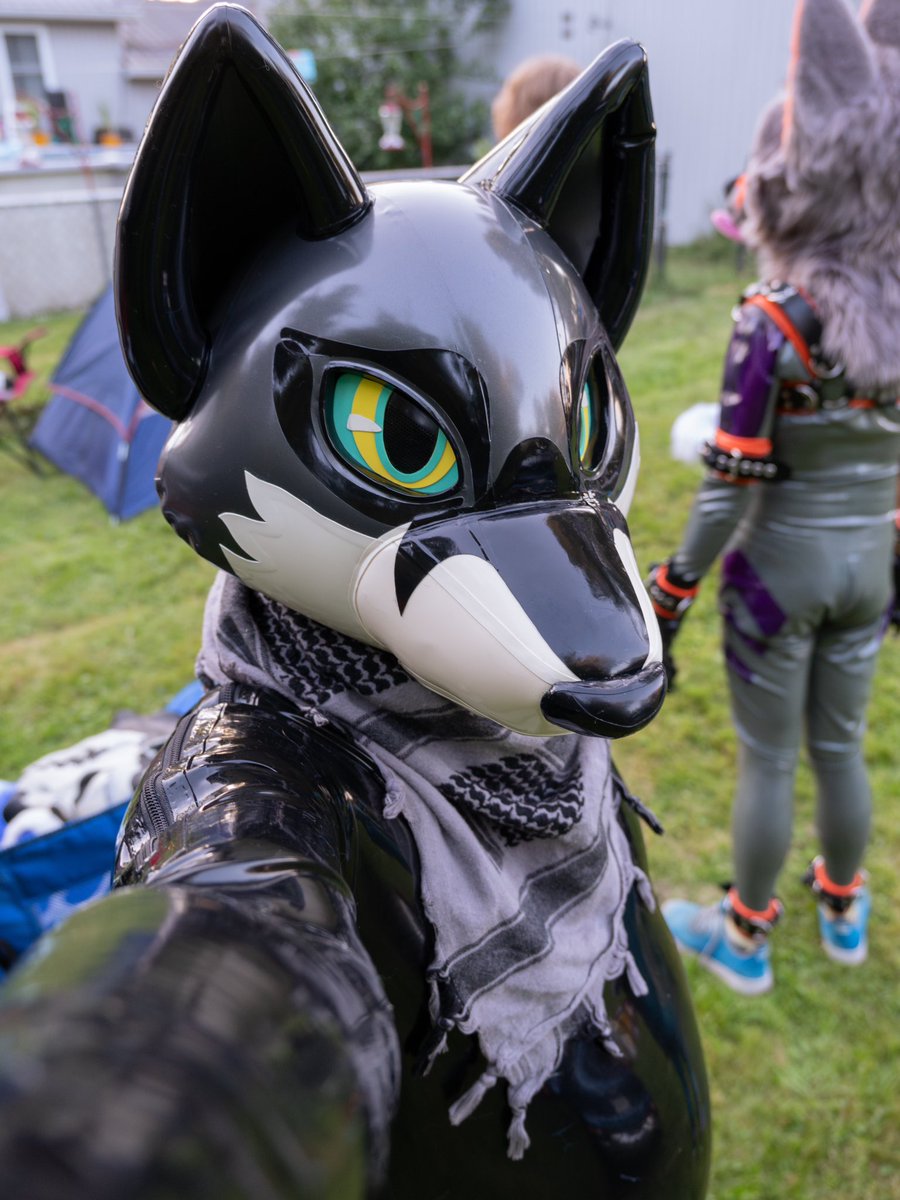 this exact angle is probably getting boring, but
I can NOT get over how much I love this dumb face

(and @NazoKaos’ butt)