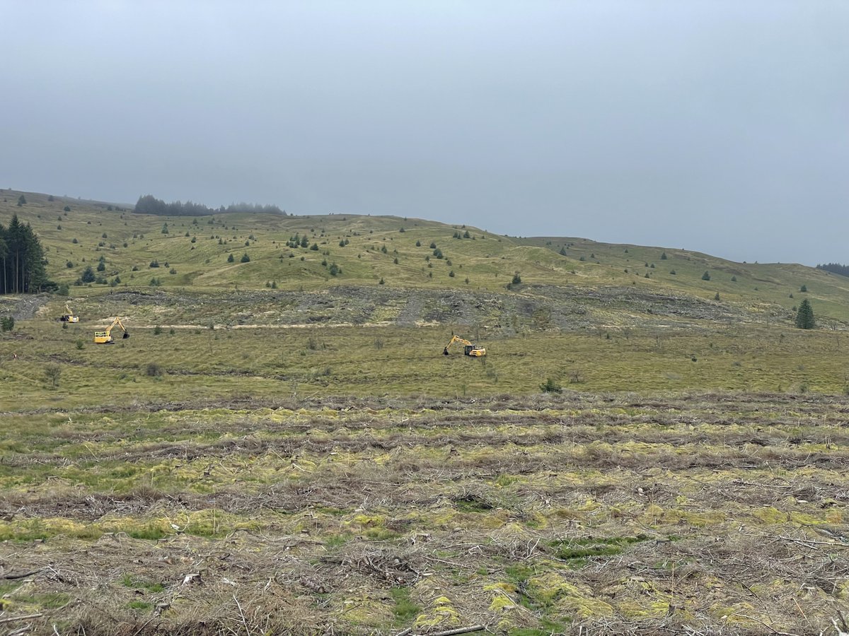 peatlandcymru's tweet photo. And we’re away!
Wishing all #WalesPeatlandAction practitioners and contractors a great restoration season!
Thanks Jack for the pics as mulching and rewetting works commence for forest-to-bog restoration at Rhos Grafiau’r Llwynog, mid-Wales.
@NatResWales @WGClimateChange #Tywi https://t.co/mRldktSUSw