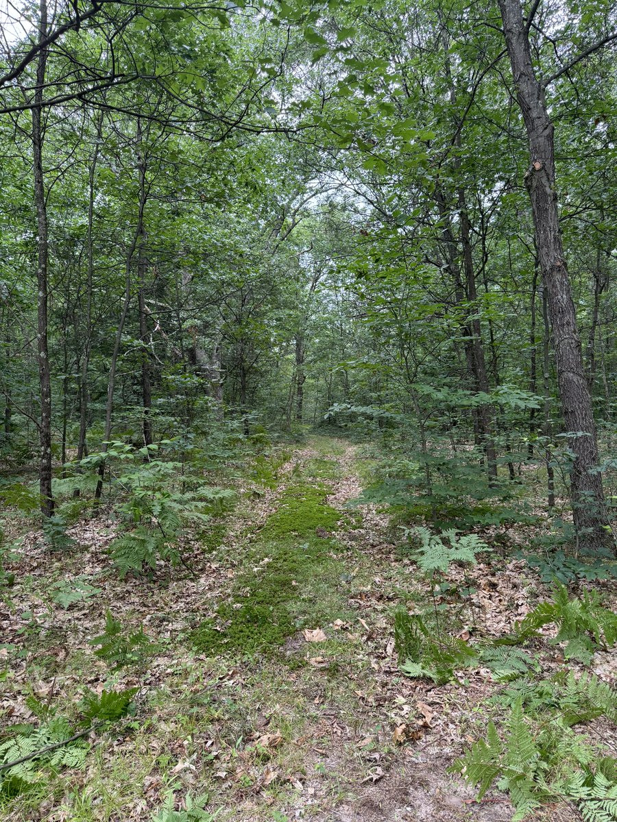 WWTLC_'s tweet photo. Attend an event on The Land this summer? WWTLC would love your feedback!

The deadline is FRIDAY, SEPTEMBER 27.  We're all ears (or eyes, given that this is a fillable form)!

https://t.co/JDCf9XBcew https://t.co/1O0YL5oDkW