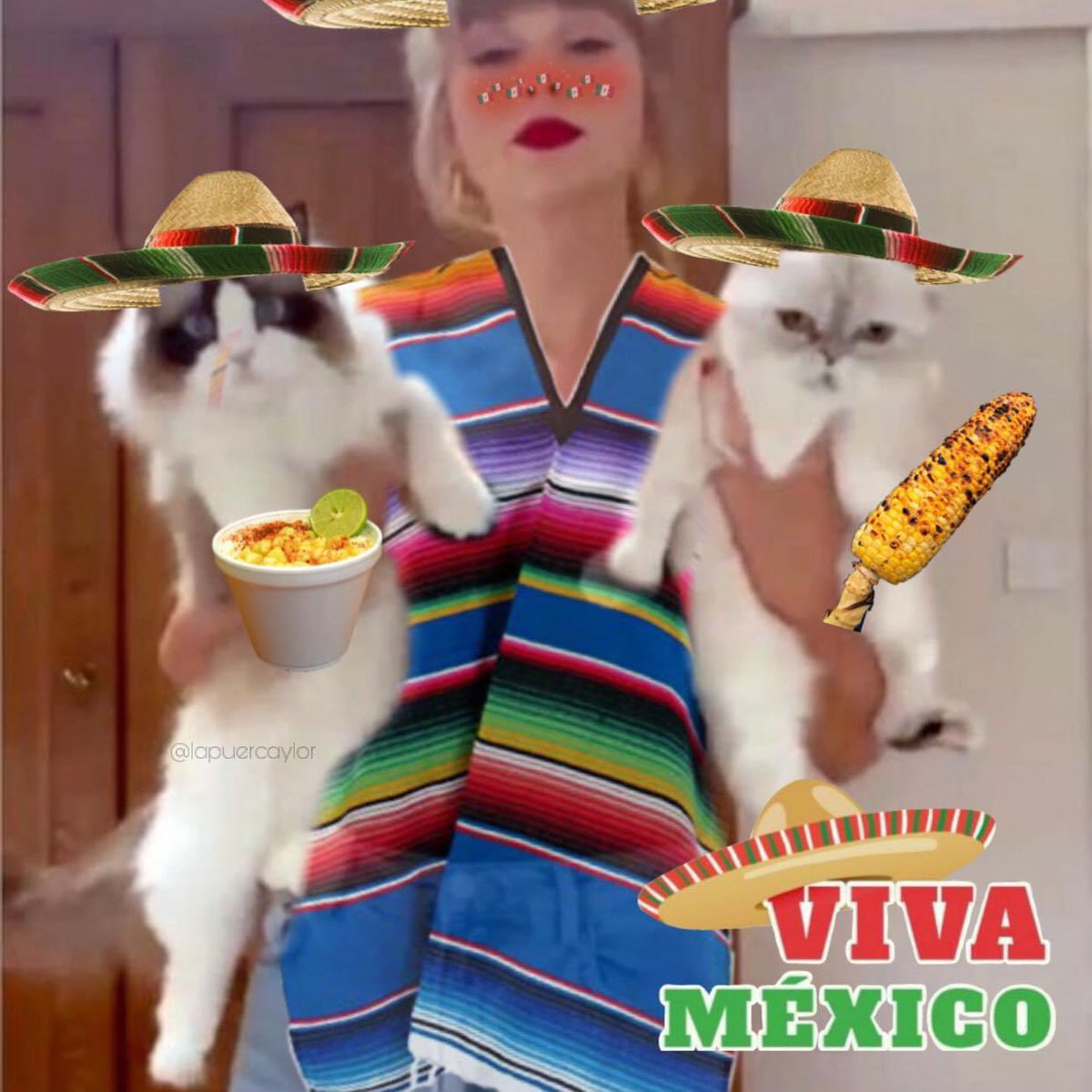 LaPuercaylor's tweet photo. Yo todo el año diciendo que me saquen de México 

Yo todo este fin de semana: https://t.co/jnzaF4U2rh