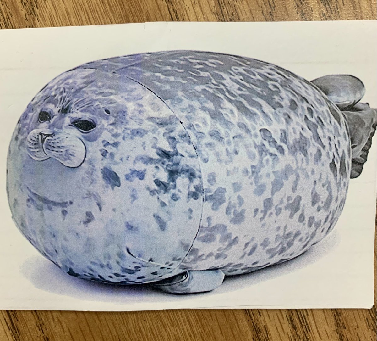 Ann Ashley Mathena tweet media