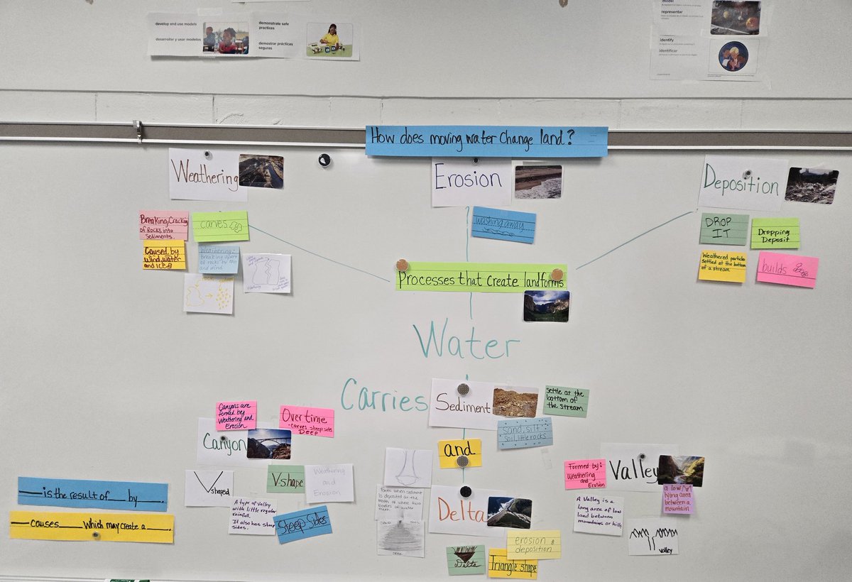 Jesus Bernal tweet media