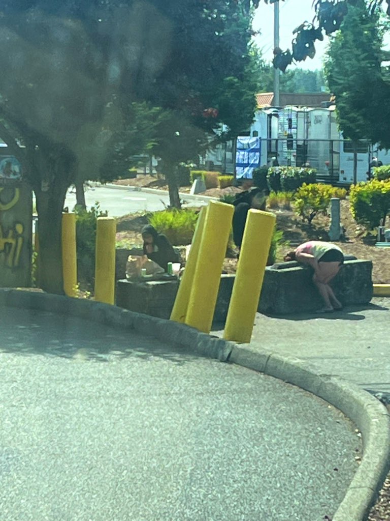 Just another totally normal day here in Fife Wa…..

Who among us doesn’t take naps… half standing…&amp; leaning over a concrete block 😐 looks super comfy.