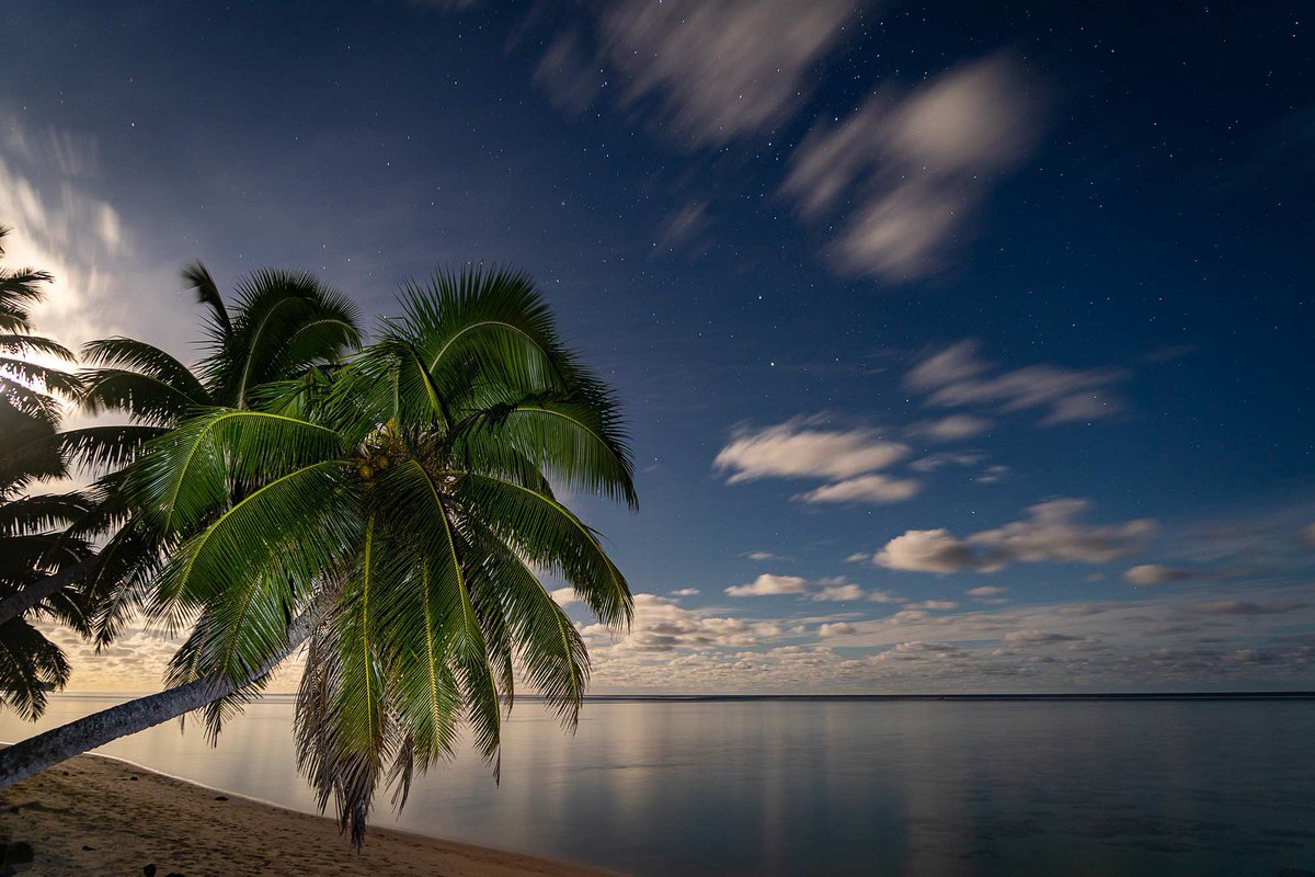 edwud's tweet photo. Coconut tree and lagoon at night  This was one of my most experimental and my favourite night shots I captured in Rarotonga, Cook Islands. https://t.co/sM36sleRVj #cookislands #photography #rarotonga #nightphotoraphy #rarotongacookislands #beachatnight https://t.co/rfym2YPcji