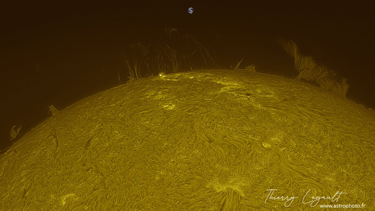 ThierryLegault's tweet image. Magnificent prominences today including huge loops! 馃槑
The Earth at scale on top 馃槷