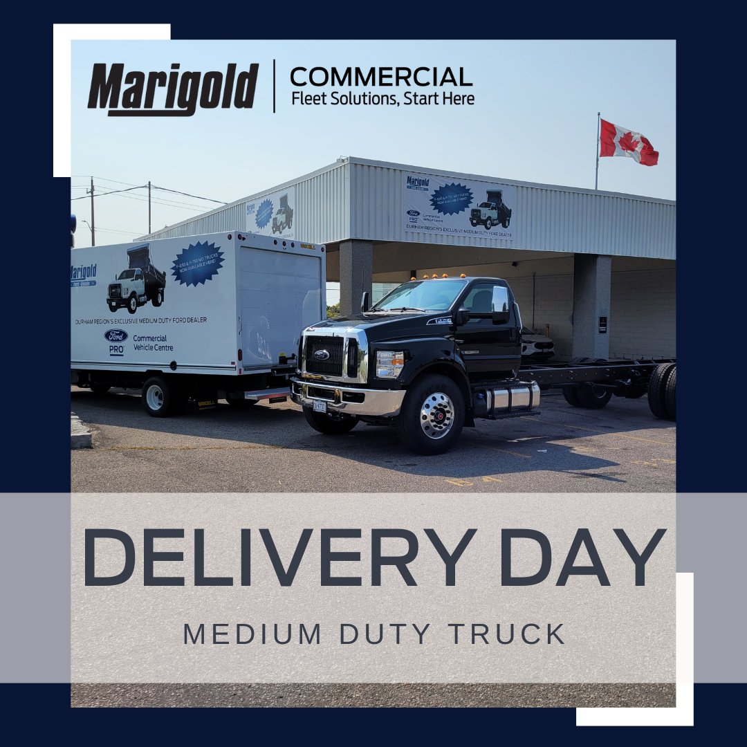 1MarigoldFord's tweet photo. Big day at Marigold Ford as we deliver another powerhouse! We are proud to be Durham's only medium-duty truck dealer, keeping your business moving. We're ready to help when you need to get the job done right.  #MediumDuty #MarigoldFord #DurhamExclusive #marigoldcommercial #whitby https://t.co/HRlGKmaofy