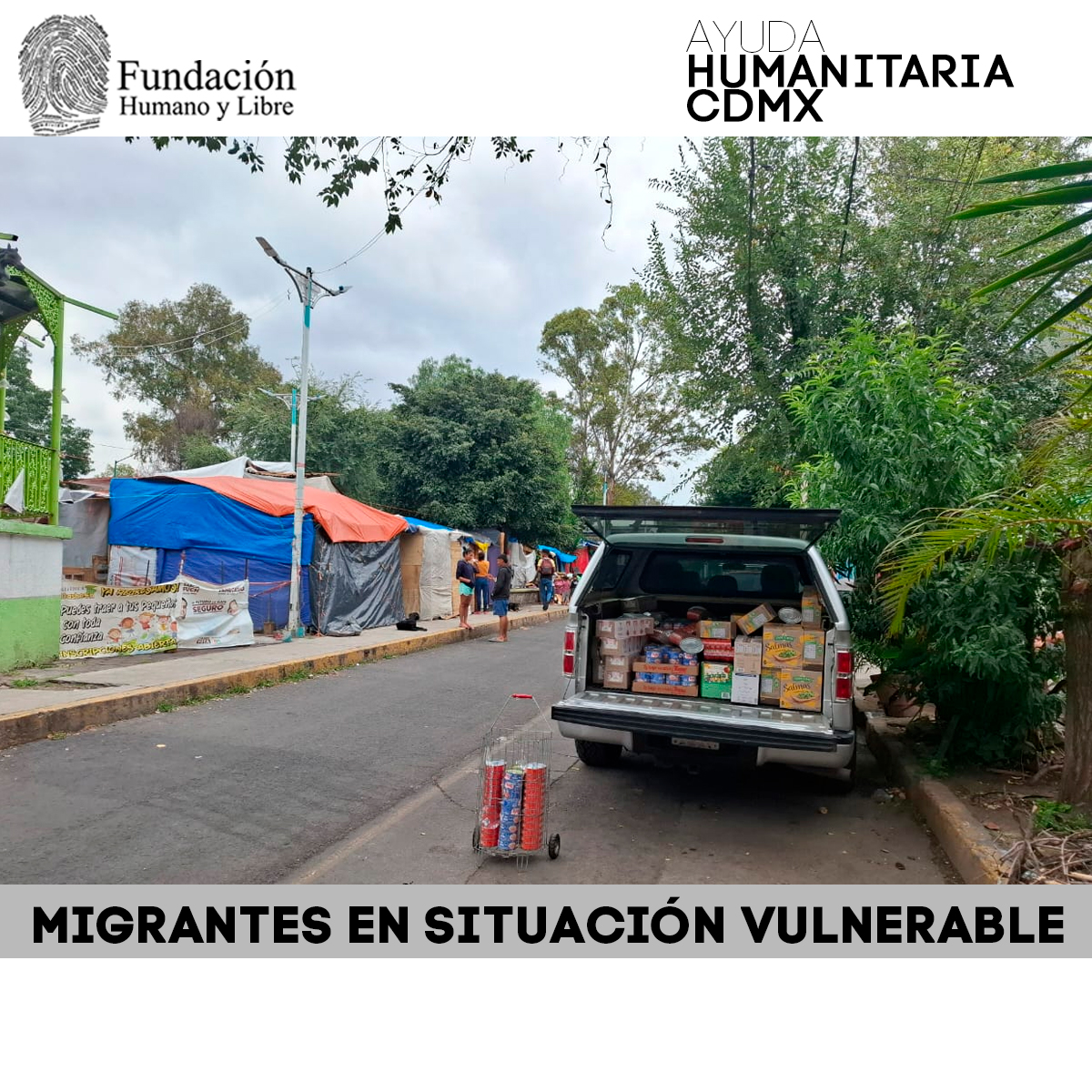 Humano y Libre tweet media