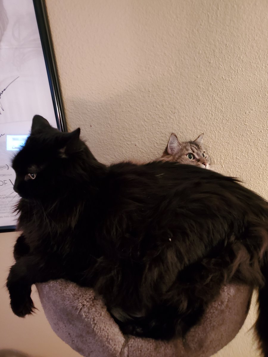 UnluckiesComic's tweet photo. @speremint Oni and Alchemy have sadly left us but I will immortalize them anywhere I can https://t.co/SbRRO5ceCE