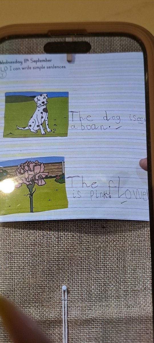 Stanton Cross Primary School tweet media