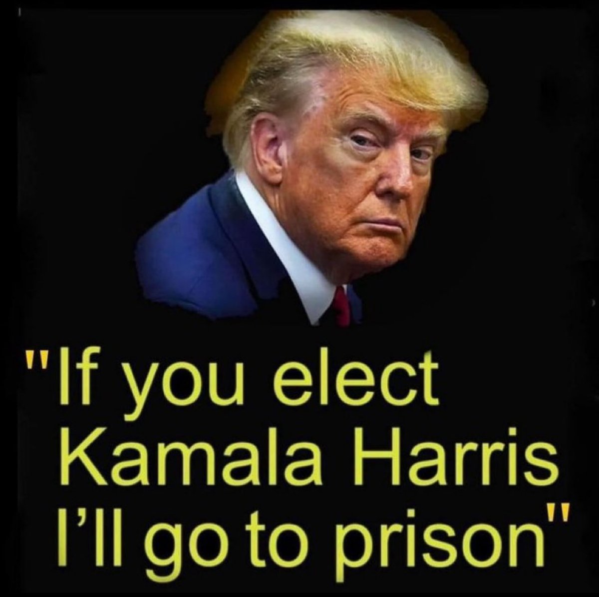 Perfect! #KamalaForPresident2024 🙏💙