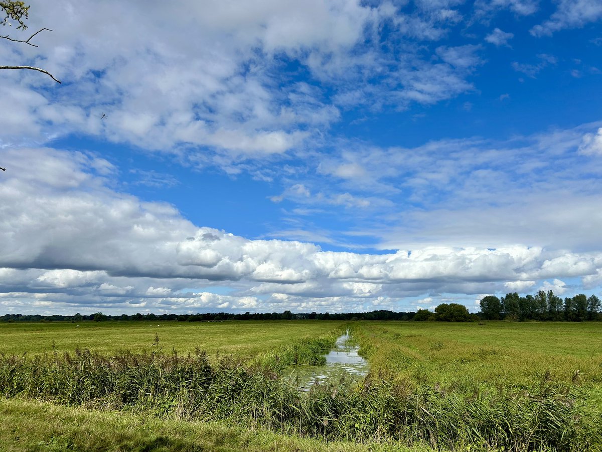 Sarah37880899's tweet photo. Always take a moment to look up. Big East Anglian skies rarely disappoint. The beautiful clouds seen on my walk in North East Suffolk today #cloudappreciationday https://t.co/nD1vnBEhwf