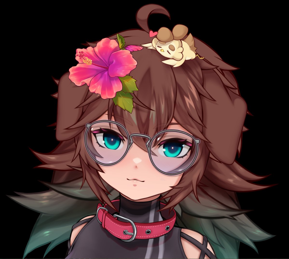 stream is over but the dog is still looking