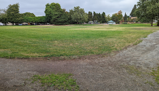 To Turf or Not to Turf: Wallingford Playfield dlvr.it/TDCSW3