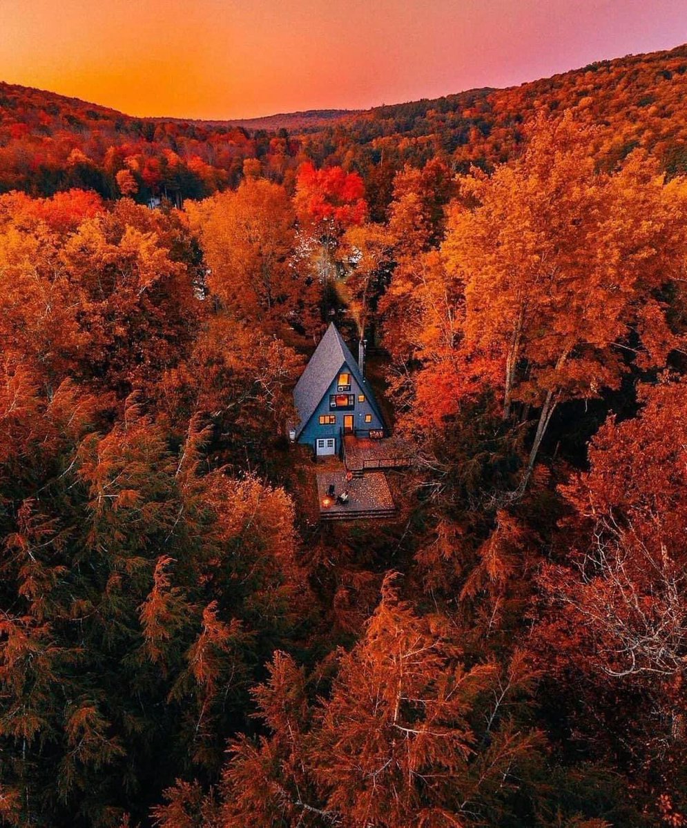 thespookygirll's tweet photo. 🍂🍁 https://t.co/91Zqzf2OJV