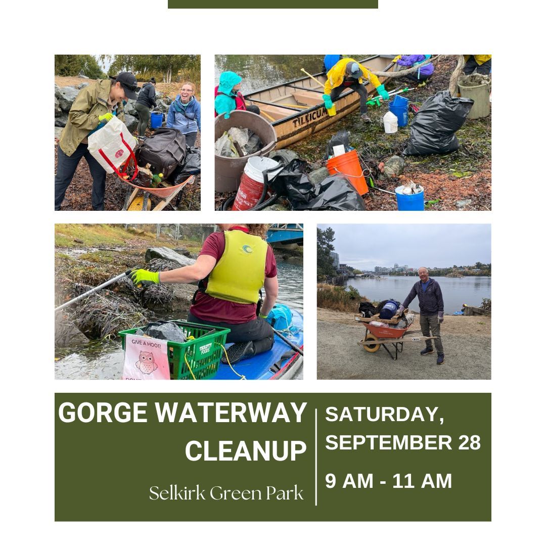 Burnside Gorge tweet media