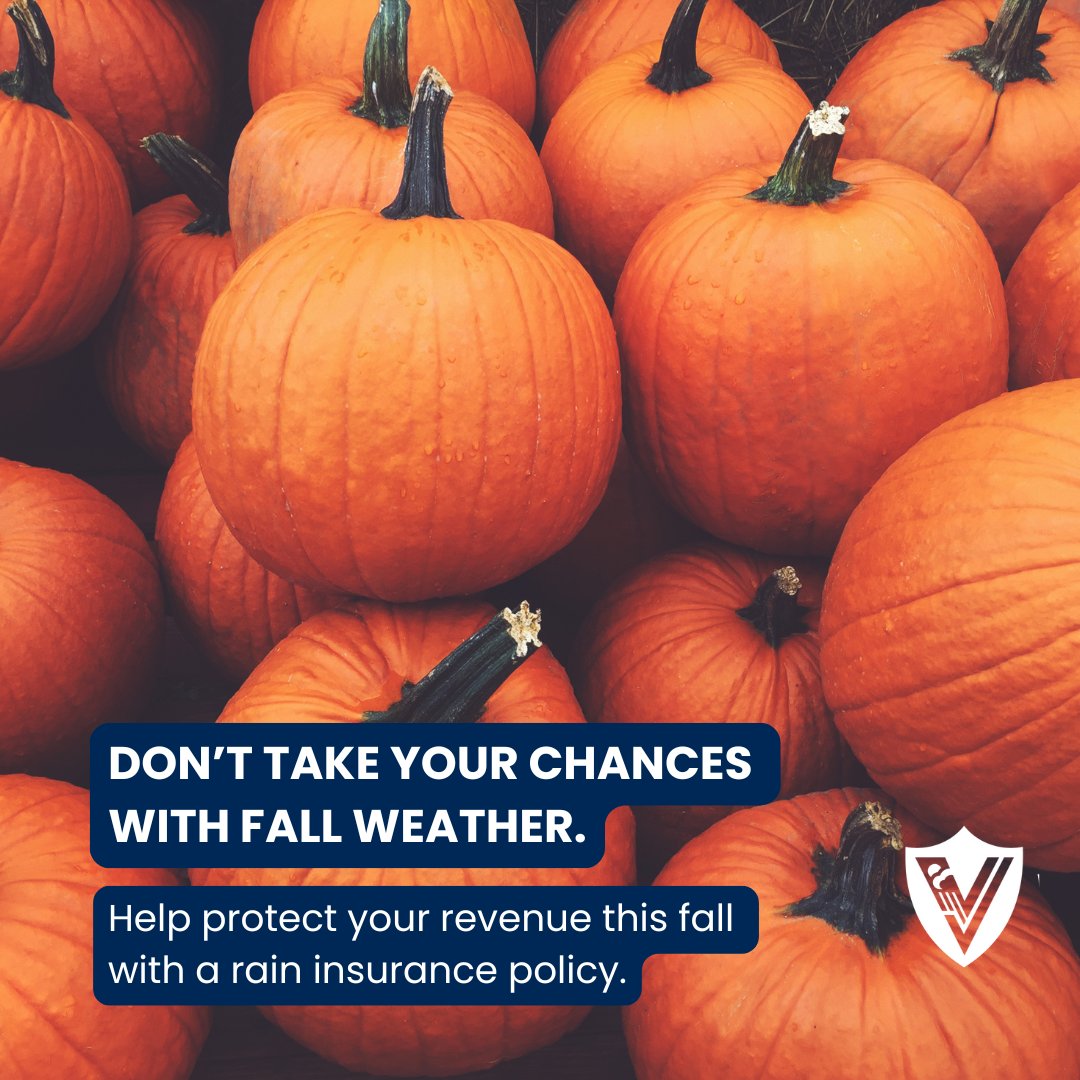 Weather_INS's tweet photo. Popular #fallevents have a limited window to maximize profits. #Rainfall during these events can significantly impact attendance, causing financial losses. Minimize lost revenue with a #raininsurance policy from us: https://t.co/wY3w60NFDy
#weatherinsurance #vortexweather #fall https://t.co/ntJQ9fpgHF