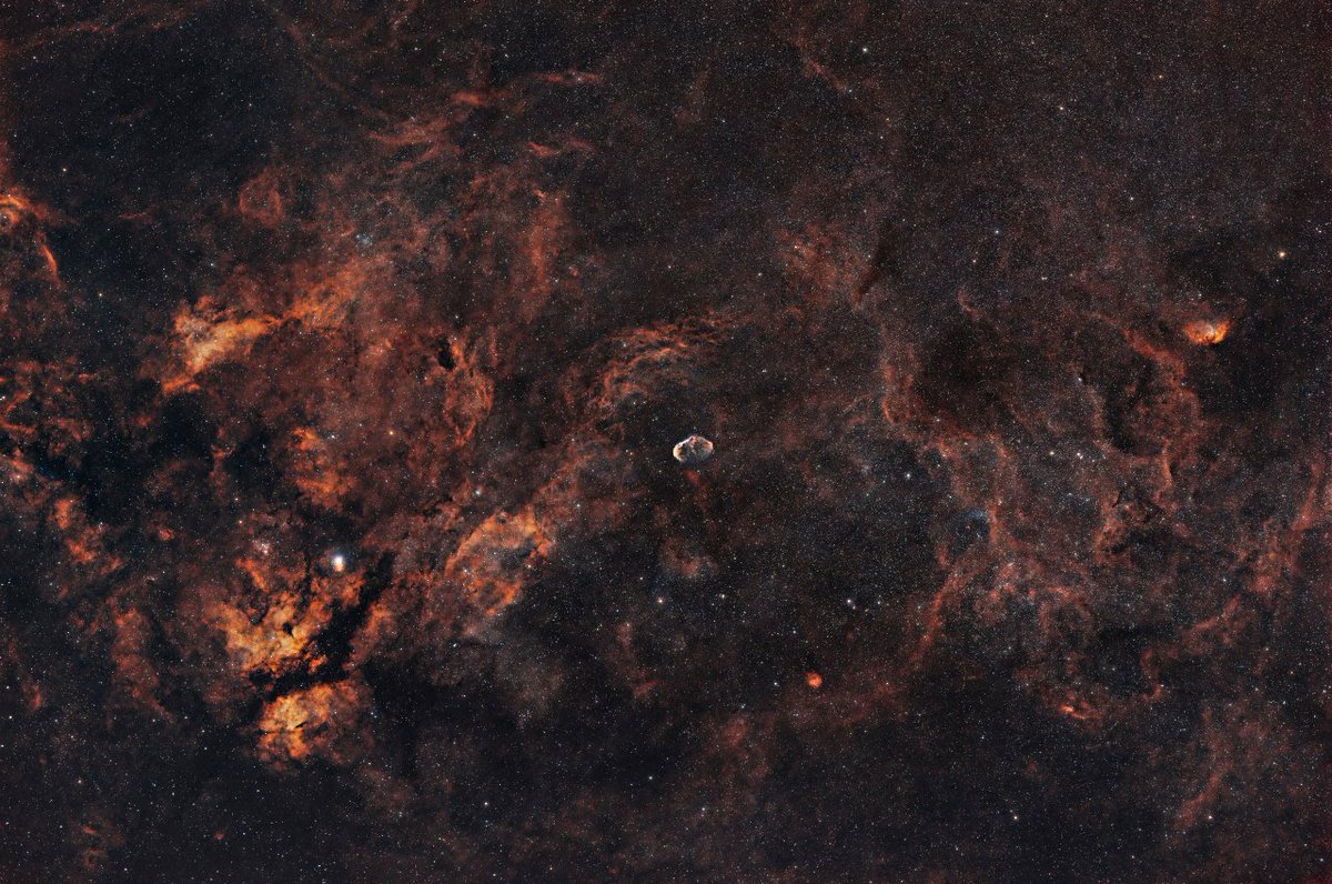 Damien Guillard tweet media