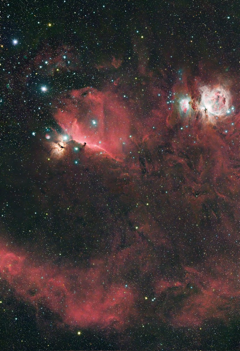 Damien Guillard tweet media