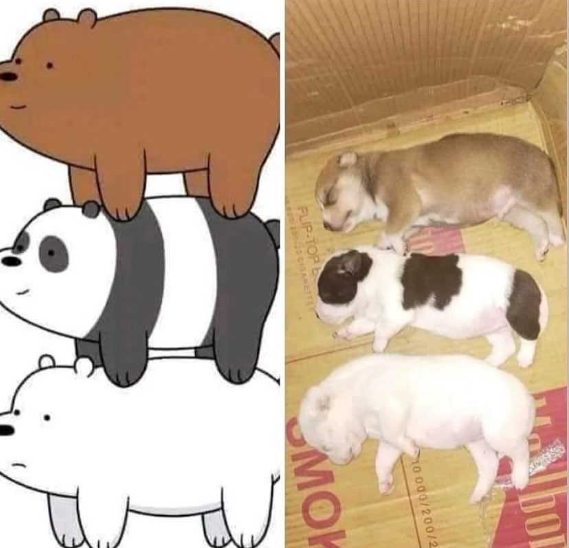 ㅤ