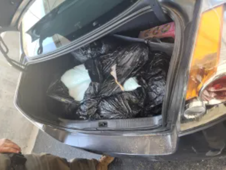 CBP's tweet photo. Border Patrol agents in San Diego found 168lbs of blue fentanyl pills on Thursday. The pills were found in the trunk of a vehicle. The estimated street value of this seizure was $1.3M. #FrontlineAganistFentanyl #OperationApollo
More: https://t.co/6ktx62vkcP https://t.co/53dvbPXwSh