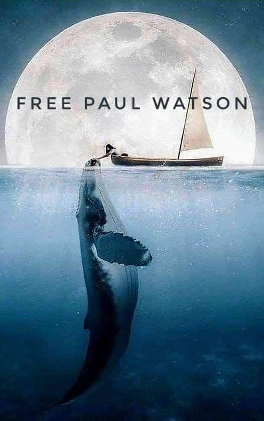 janischshane's tweet photo. #Freepaulwatson https://t.co/7cpdfHYCmu