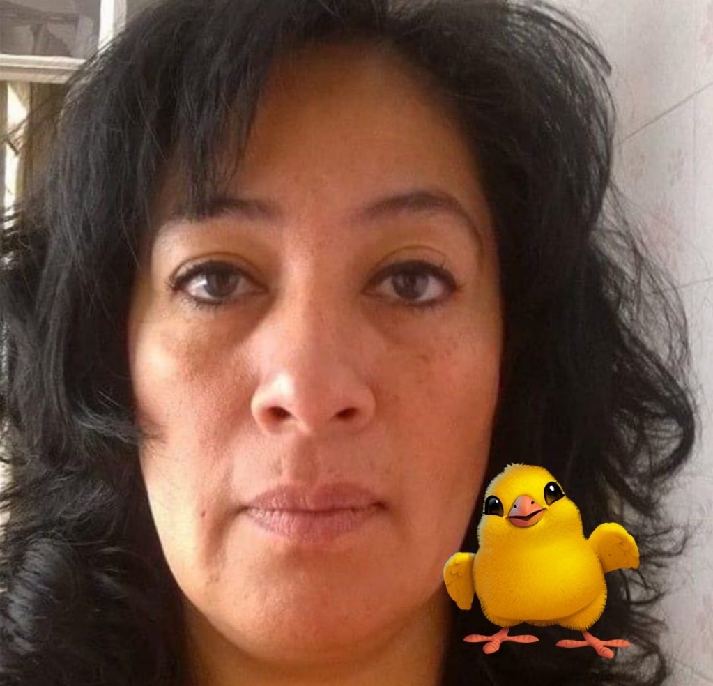 greta1940_'s tweet image. #HabemusReformaJudicial
#PoderosoBellako 
#LaLocaDelSenado 

Dice la reina de los filtros, que su novio es empresario y va poner un restaurante para ella en ACAPULCO.

Si supiera @LOVREGA, que apenas esta para 200 y un pollo.