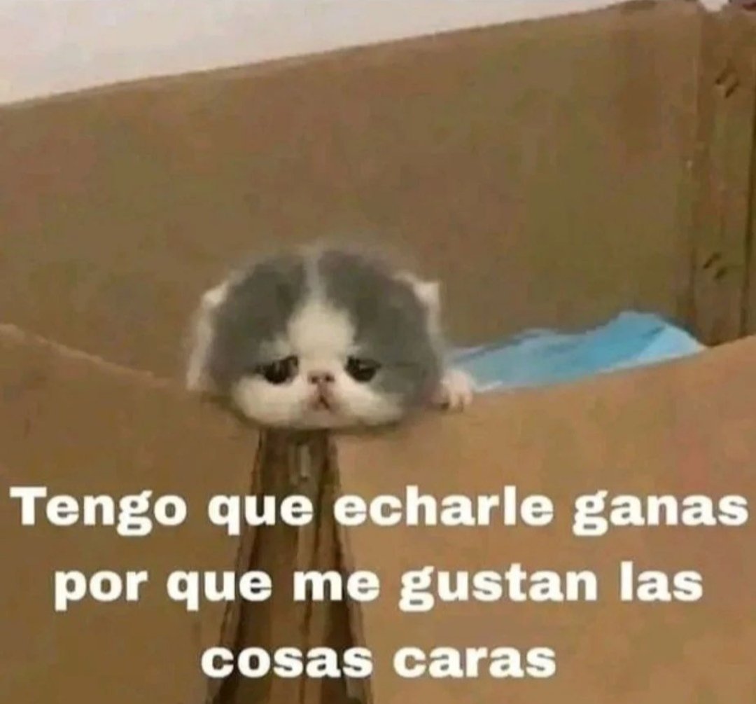En Júpiter (@en_jupiter_) on Twitter photo 