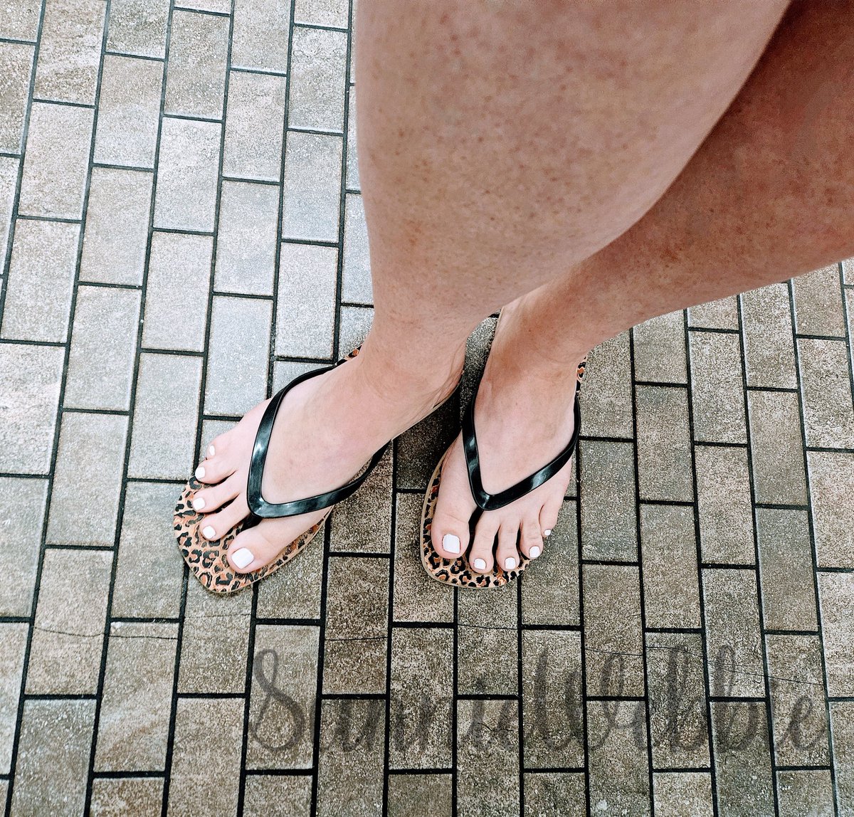 sunniewebbie's tweet photo. When the background is just too good to pass up...
#publicfeetpics #flipflops #footworship #webbedtoes https://t.co/cKvgckIB4K