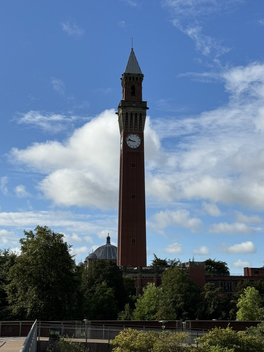 Bruce D. McDonald tweet media