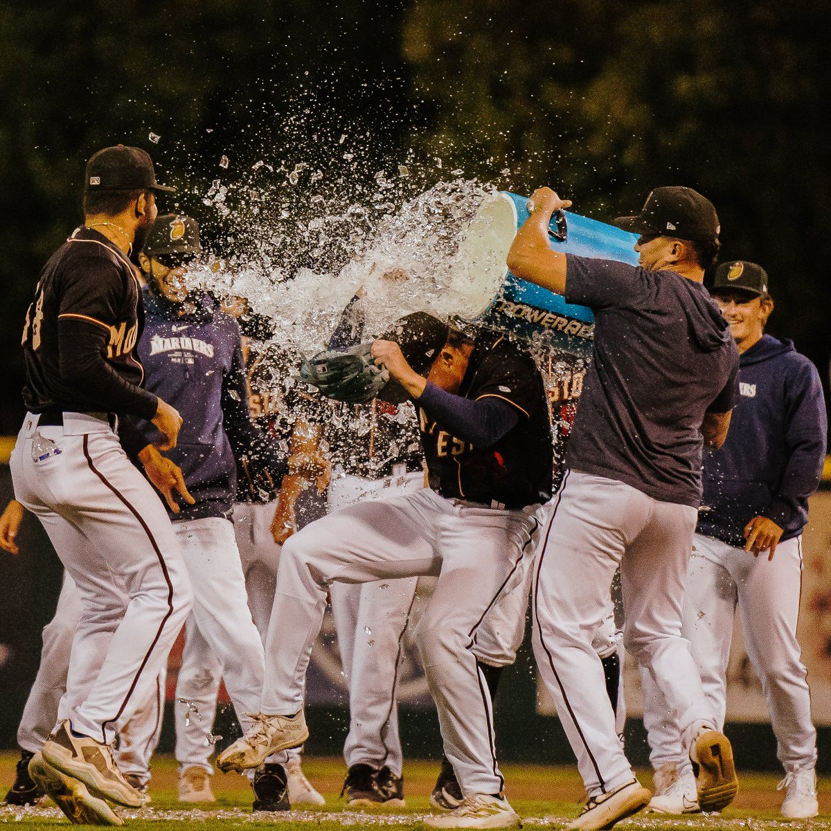 Mariners Player Development tweet media
