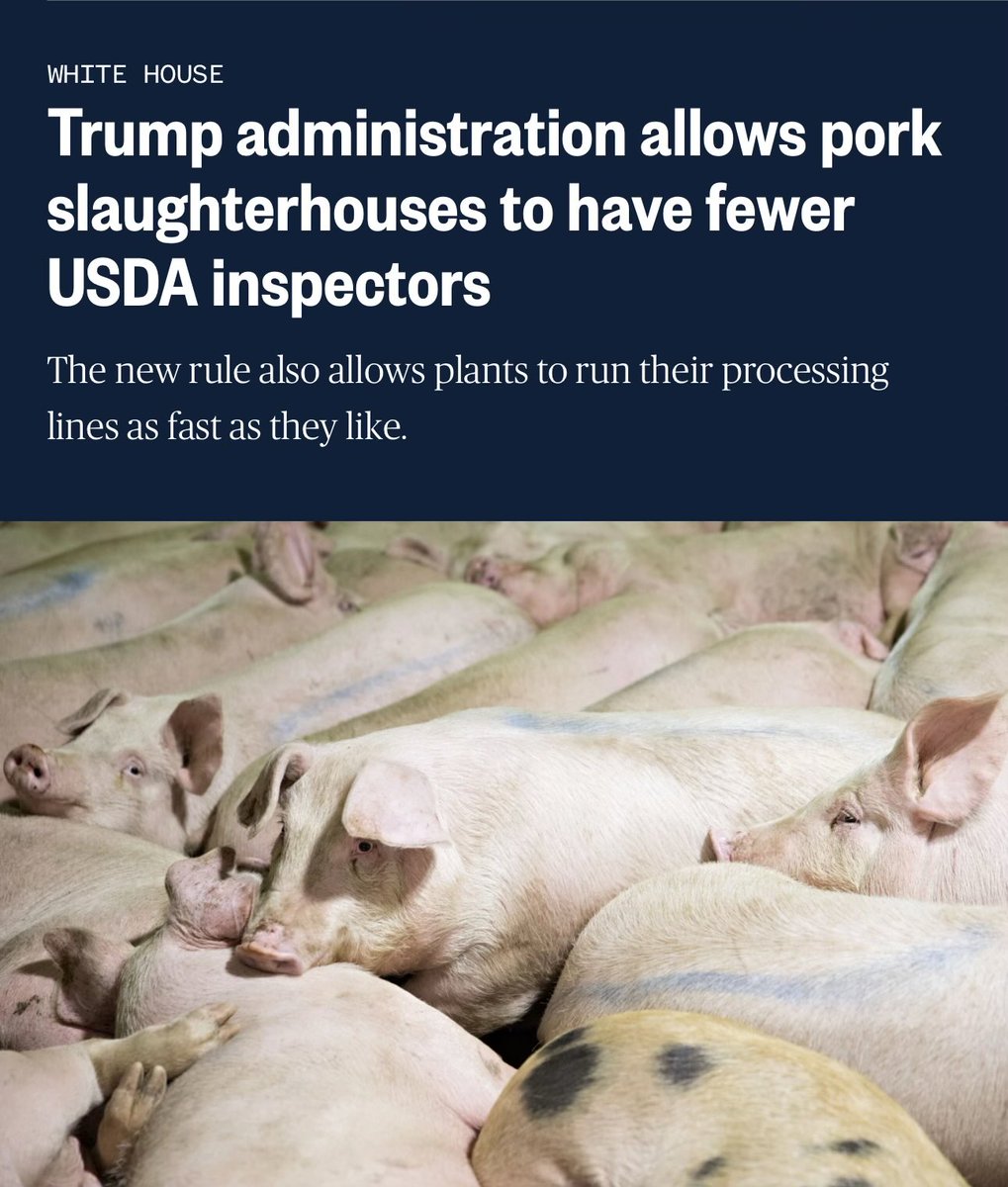 notcapnamerica's tweet photo. Oops https://t.co/XfyYDZQm0F