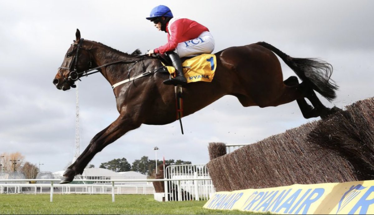 Willie Mullins tweet media