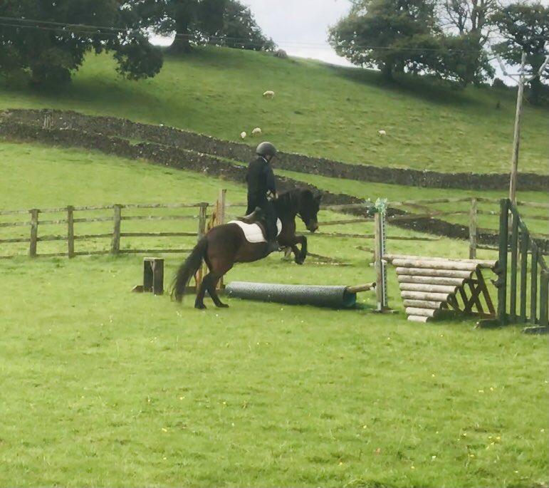 Sedbergh Prep Riding tweet media